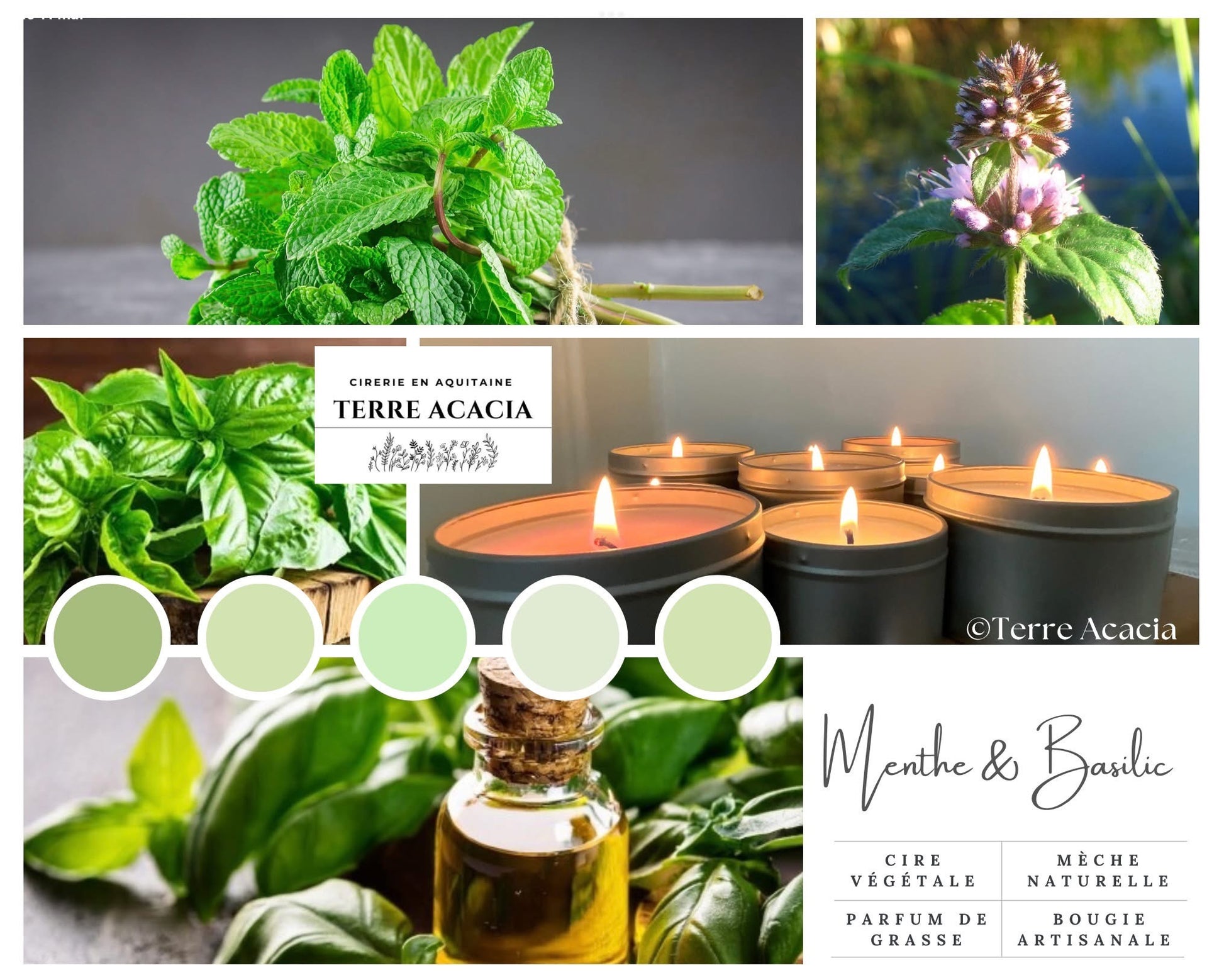 Bougie  Menthe & Basilic
