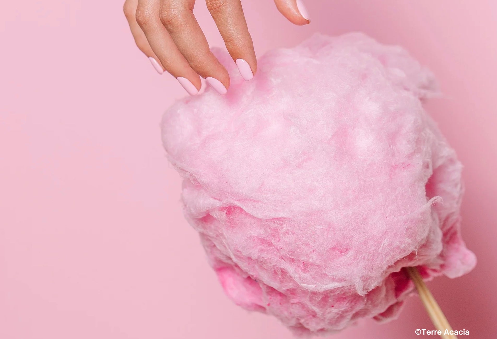 Fondant Barbe à Papa