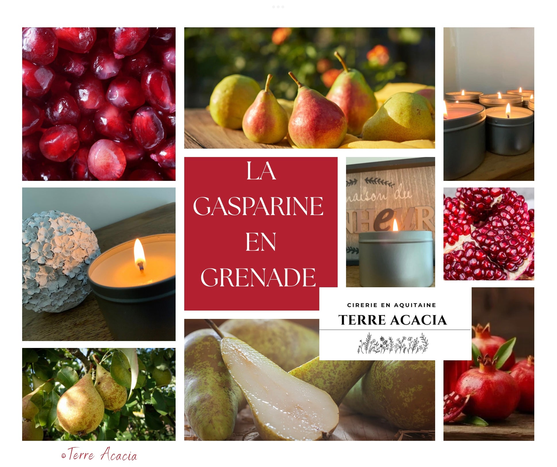 Bougie La Gasparine en Grenade