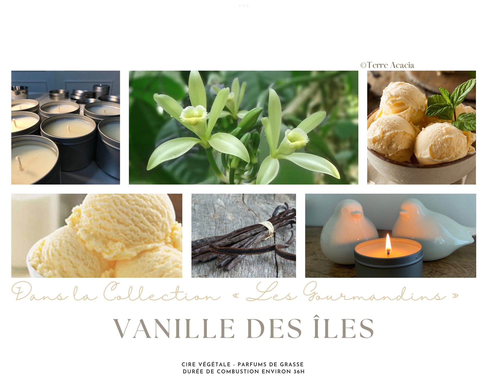 Bougie Vanille des Îles