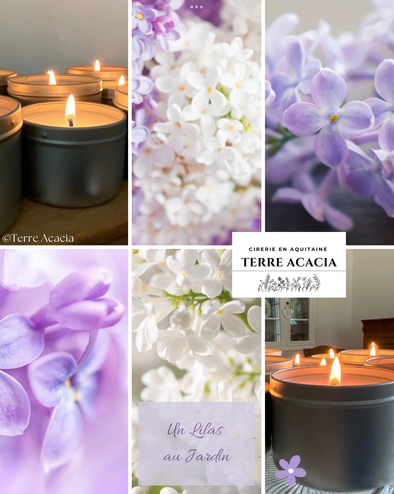Bougie Un Lilas au Jardin