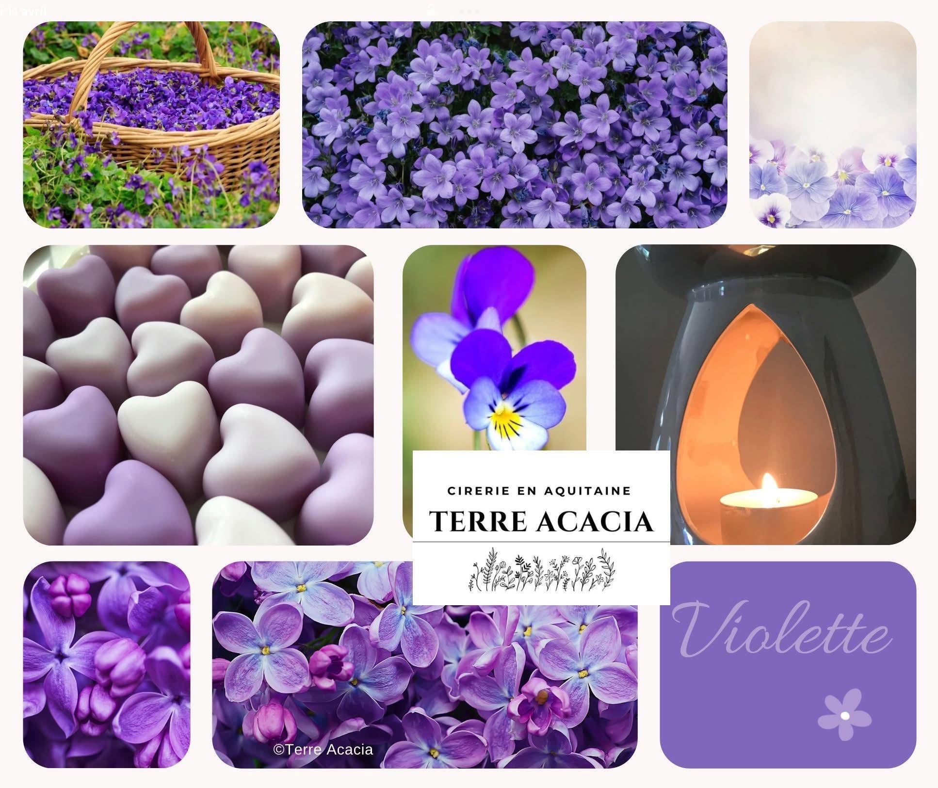 Bougie  1,2,3 …Violette 