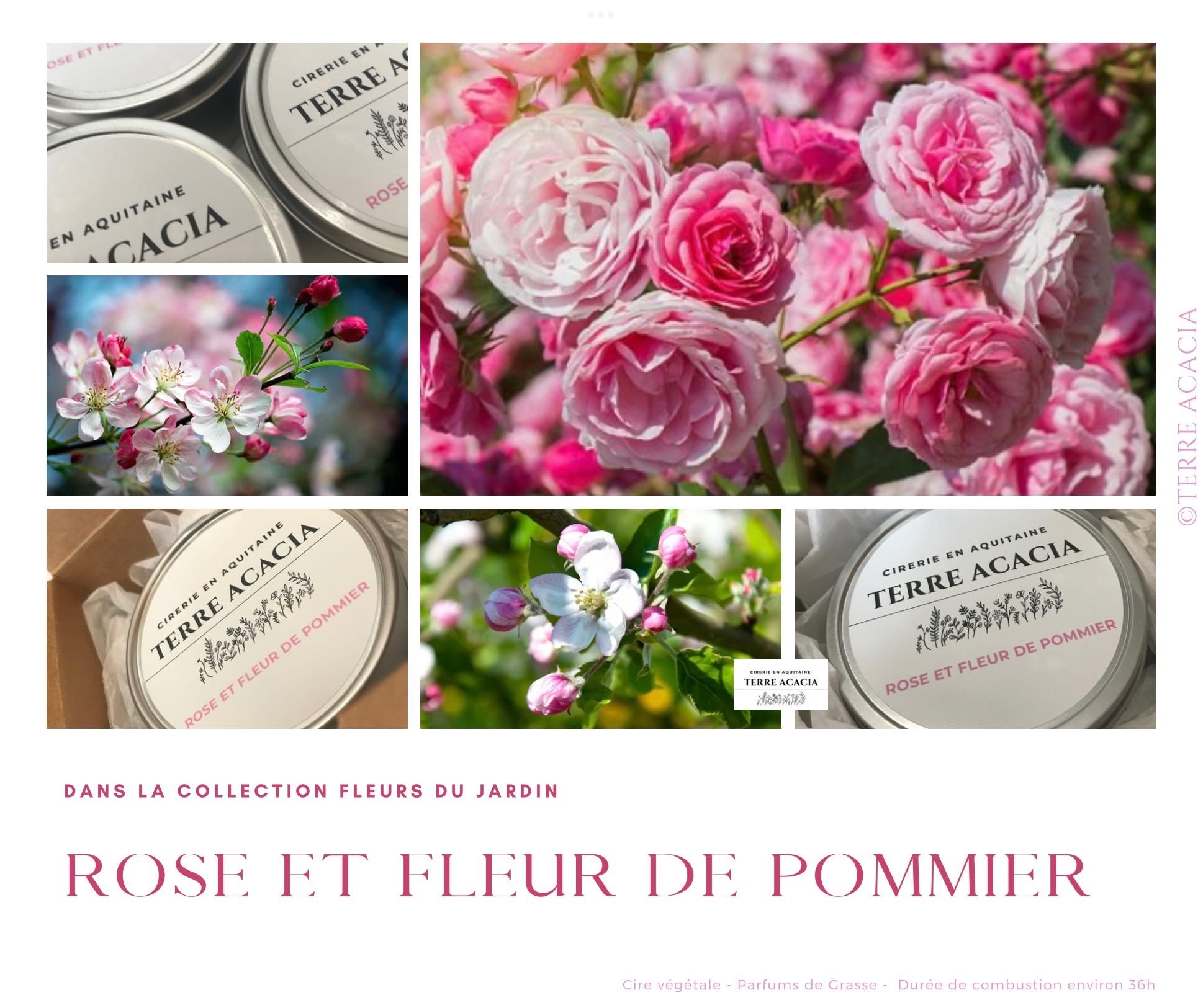 Bougie  Rose et Fleur de Pommier