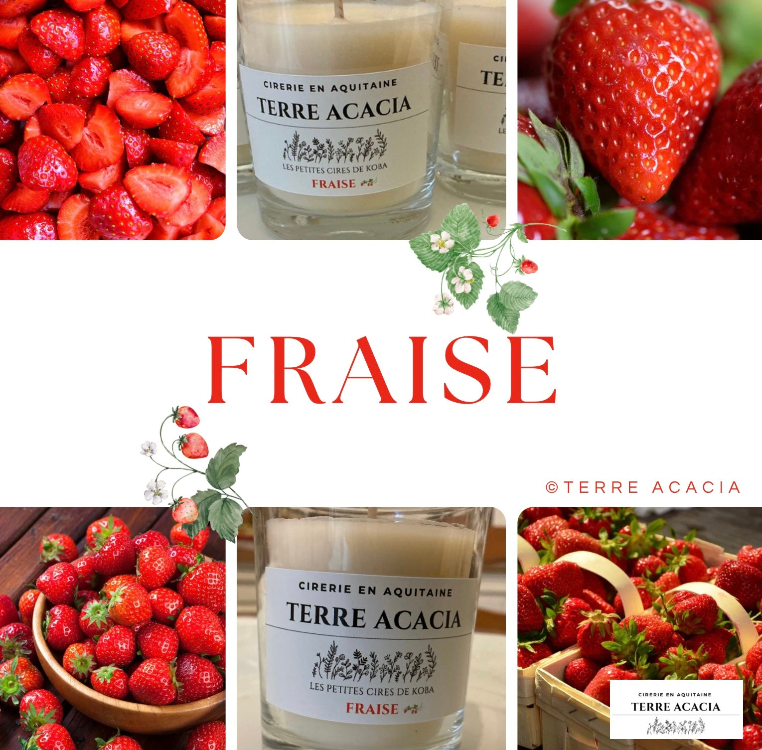 Fraise