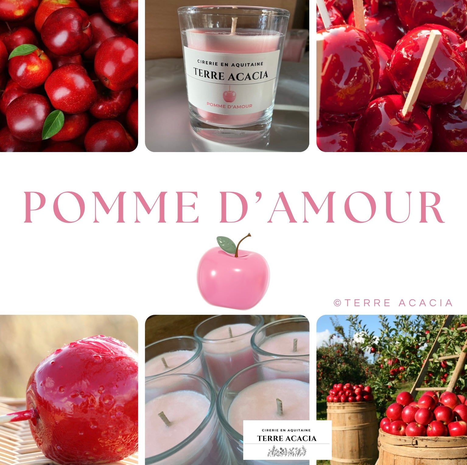Pomme d’Amour