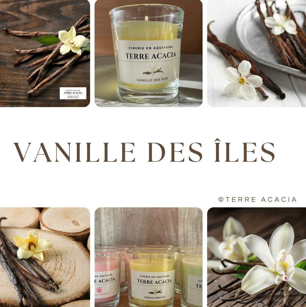 Vanille des Îles