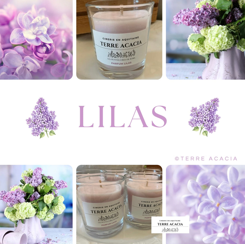 Lilas