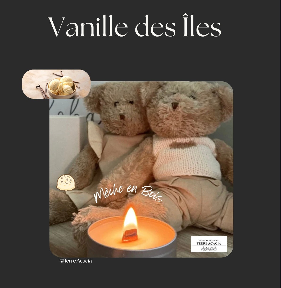 Bougie Vanille des Îles (mèche en Bois)