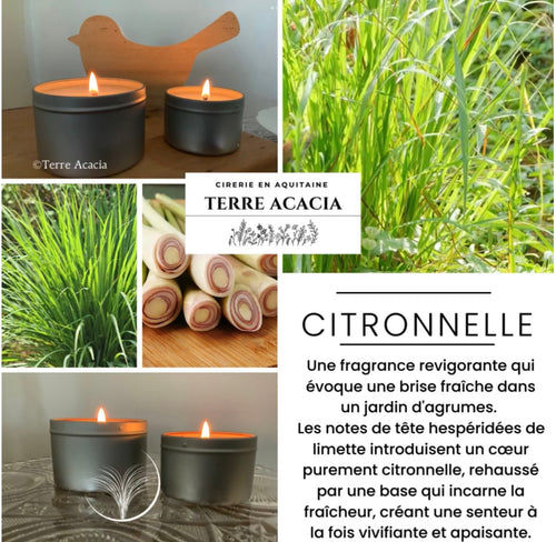 Bougie  Citronnelle