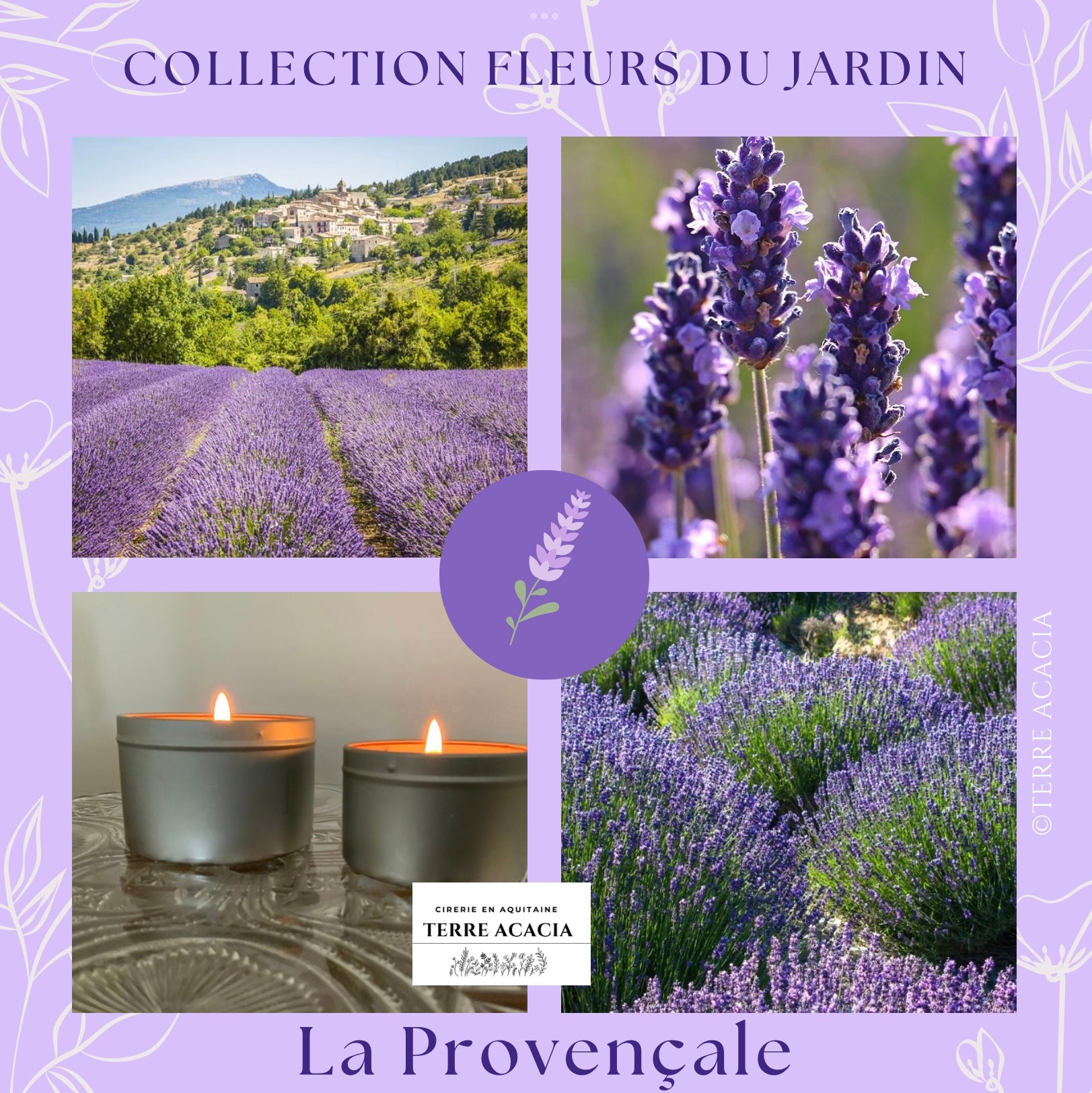 Bougie La Provençale