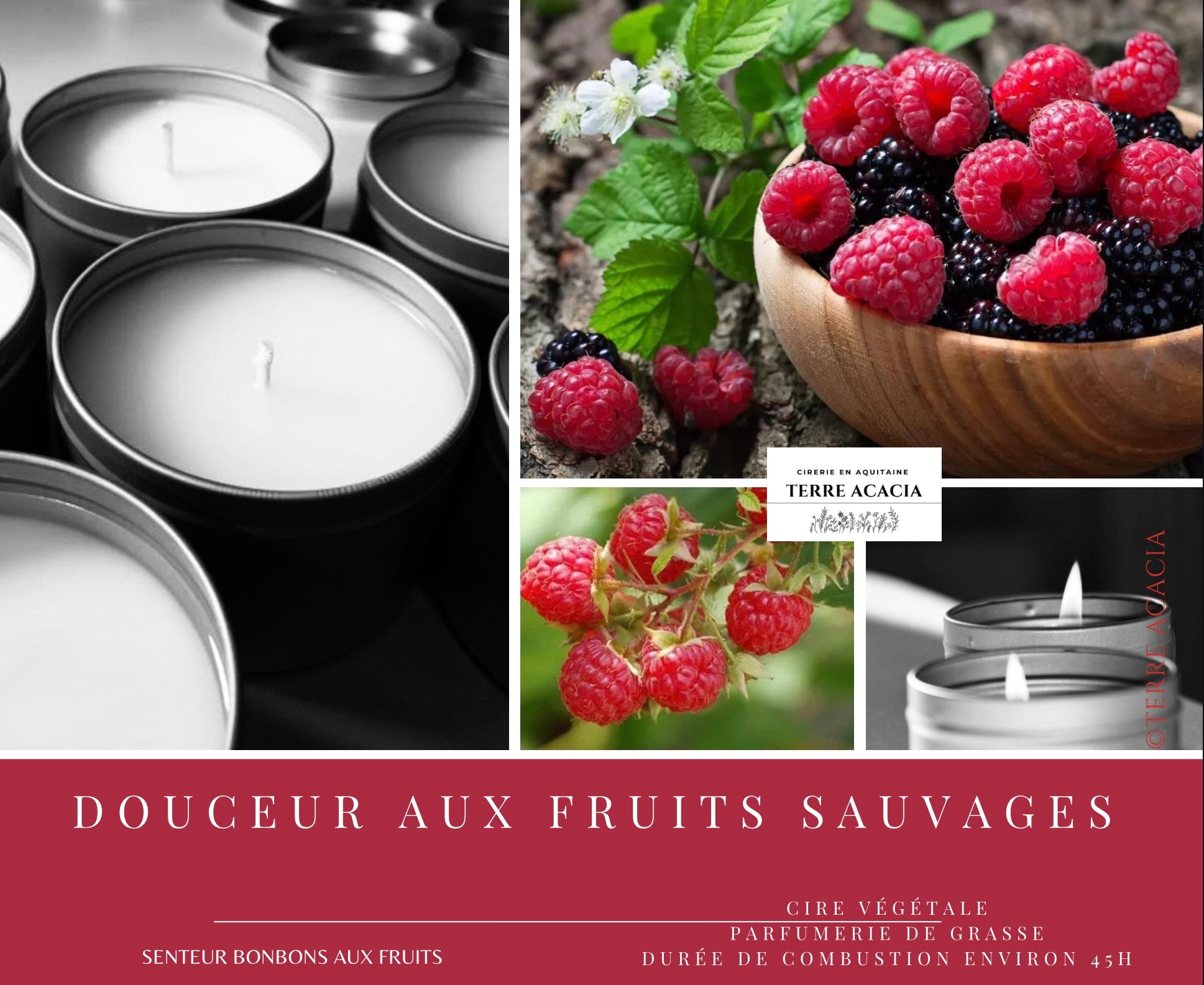 Bougie  Douceur aux Fruits Sauvages