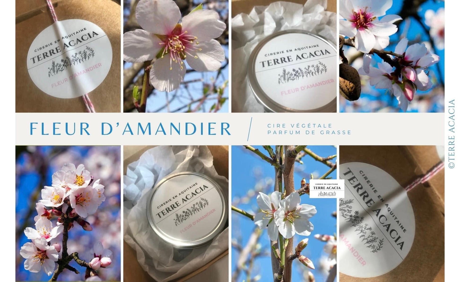 Bougie  Fleur d’Amandier