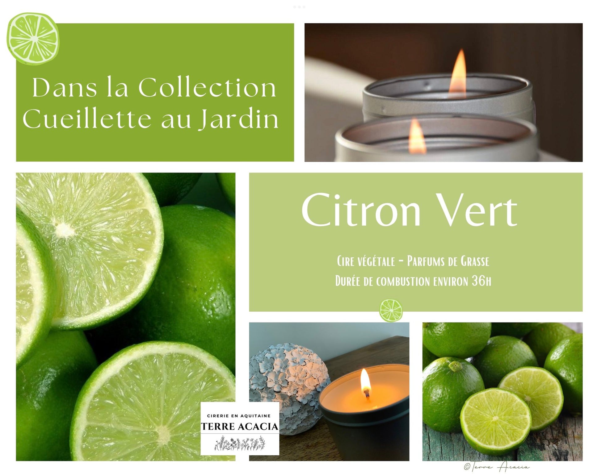 Bougie  Citron Vert