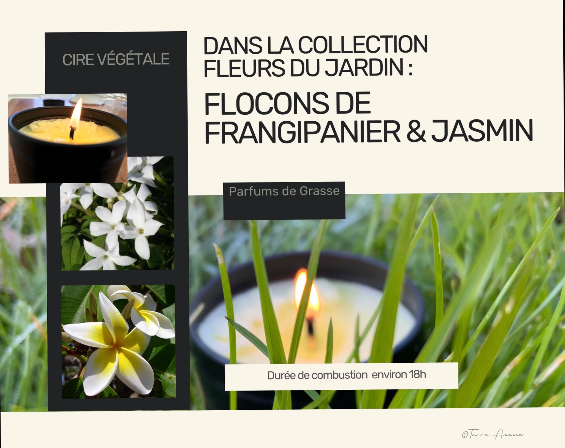Bougie  Flocons de Frangipanier & Jasmin