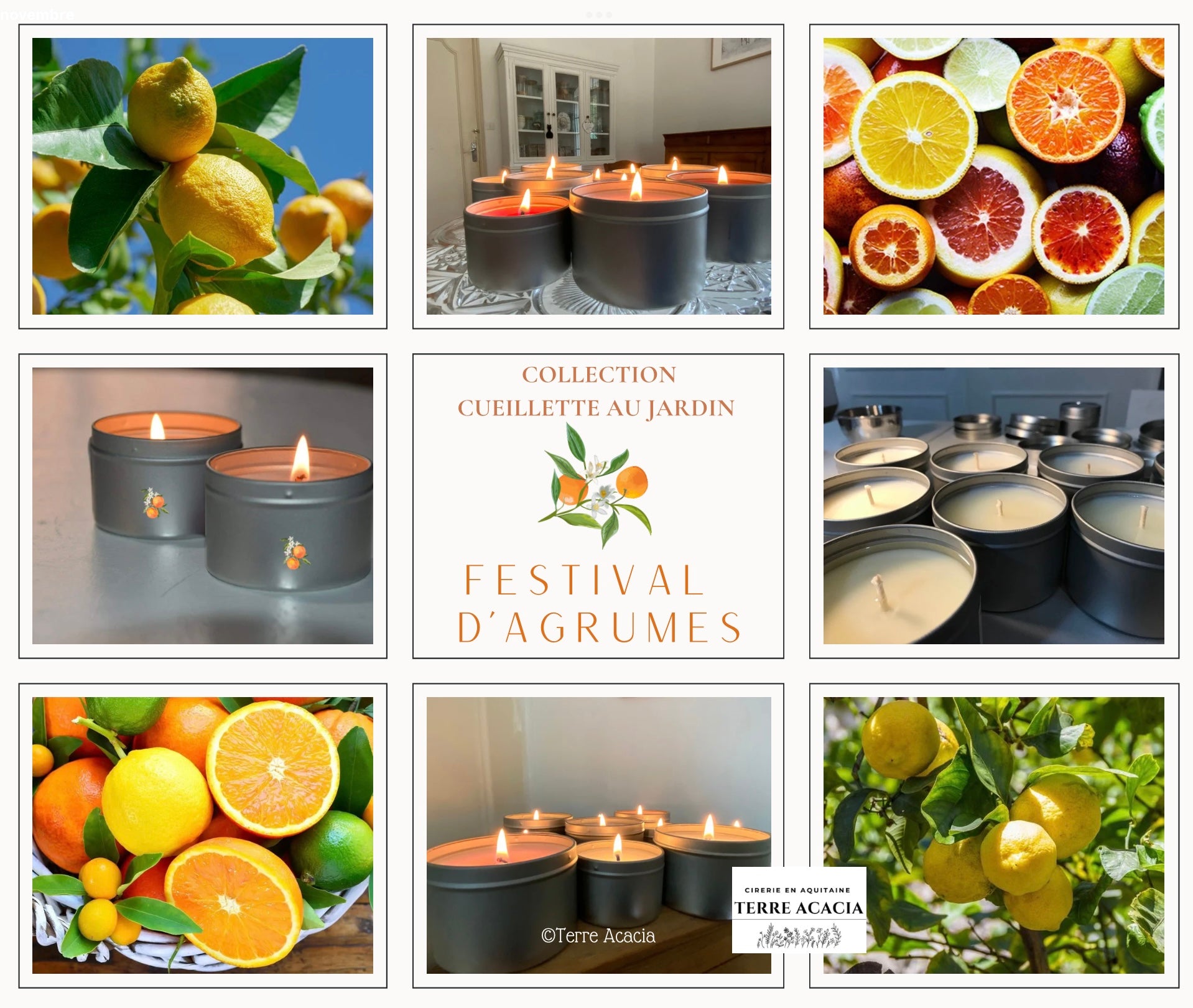 Bougie Festival d’Agrumes