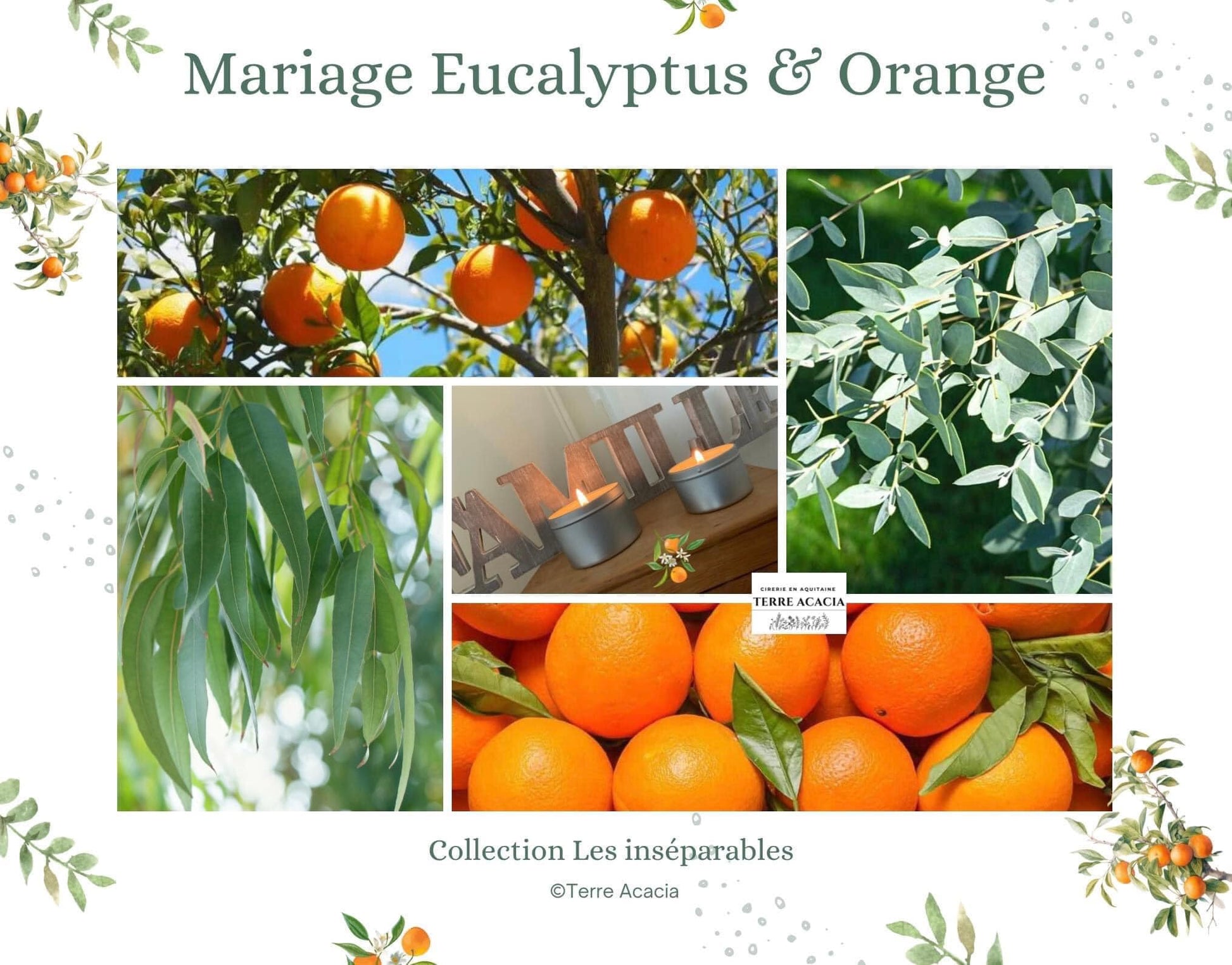 Bougie Mariage Eucalyptus & Orange